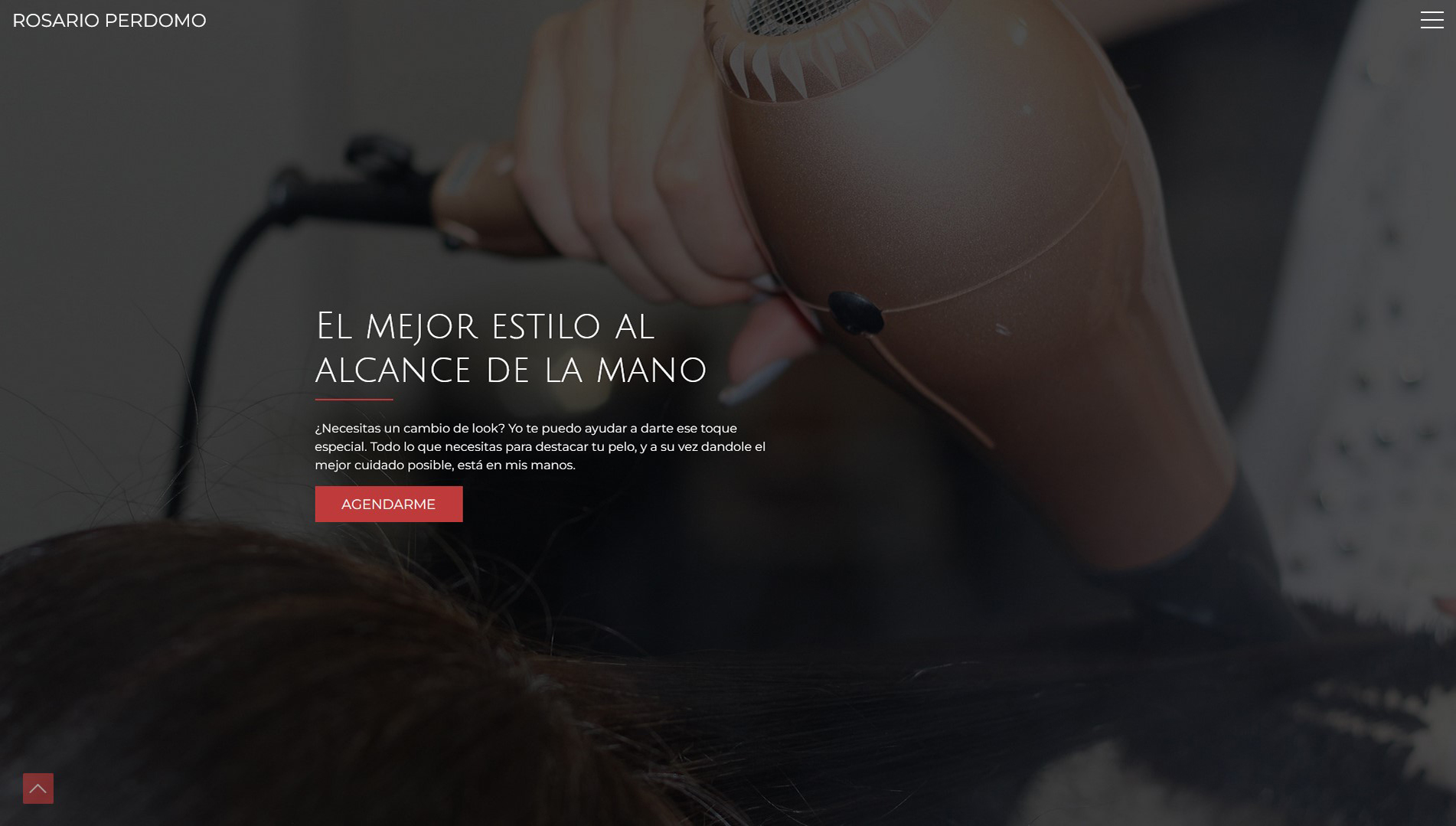Rosario Perdomo Landing Page